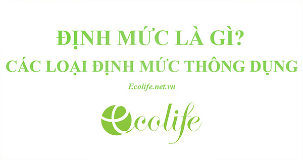 định mức là gì?