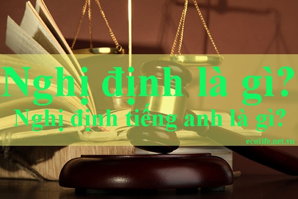 Nghị định là gì?